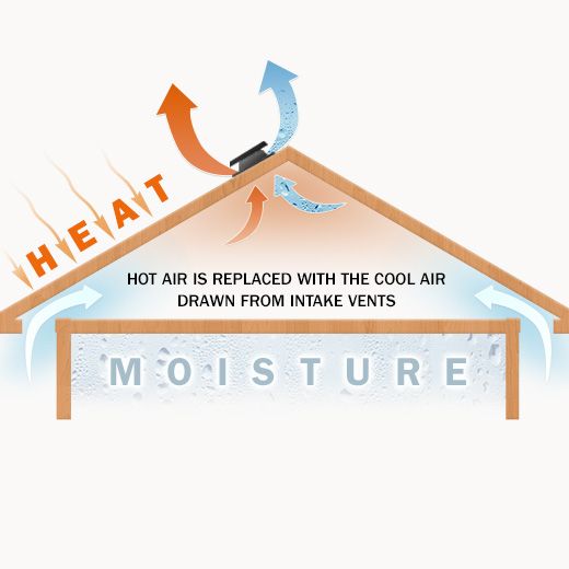 Auburn Ceiling Fan Electricians