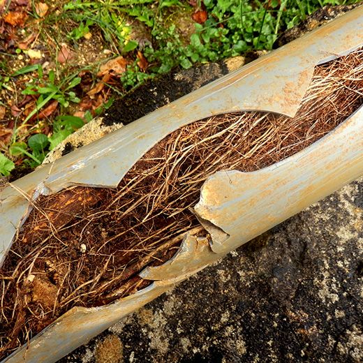 Same Day Drain Sewer & Rooter Pros Across Auburn